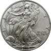 2006 American Silver Eagle